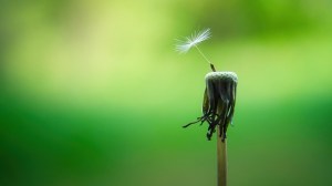 The believing game: feedback as an exercise in&nbsp;hope