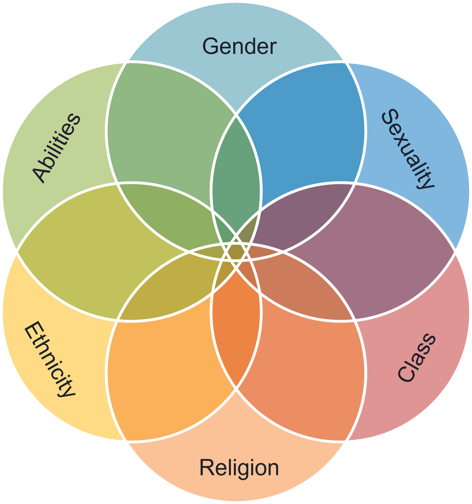 Six circles overlapping each other, so every circle shares space with every other circle at some point. Each circle is labelled: abelled ability, gender, sexuality, class, religion, and ethnicity.