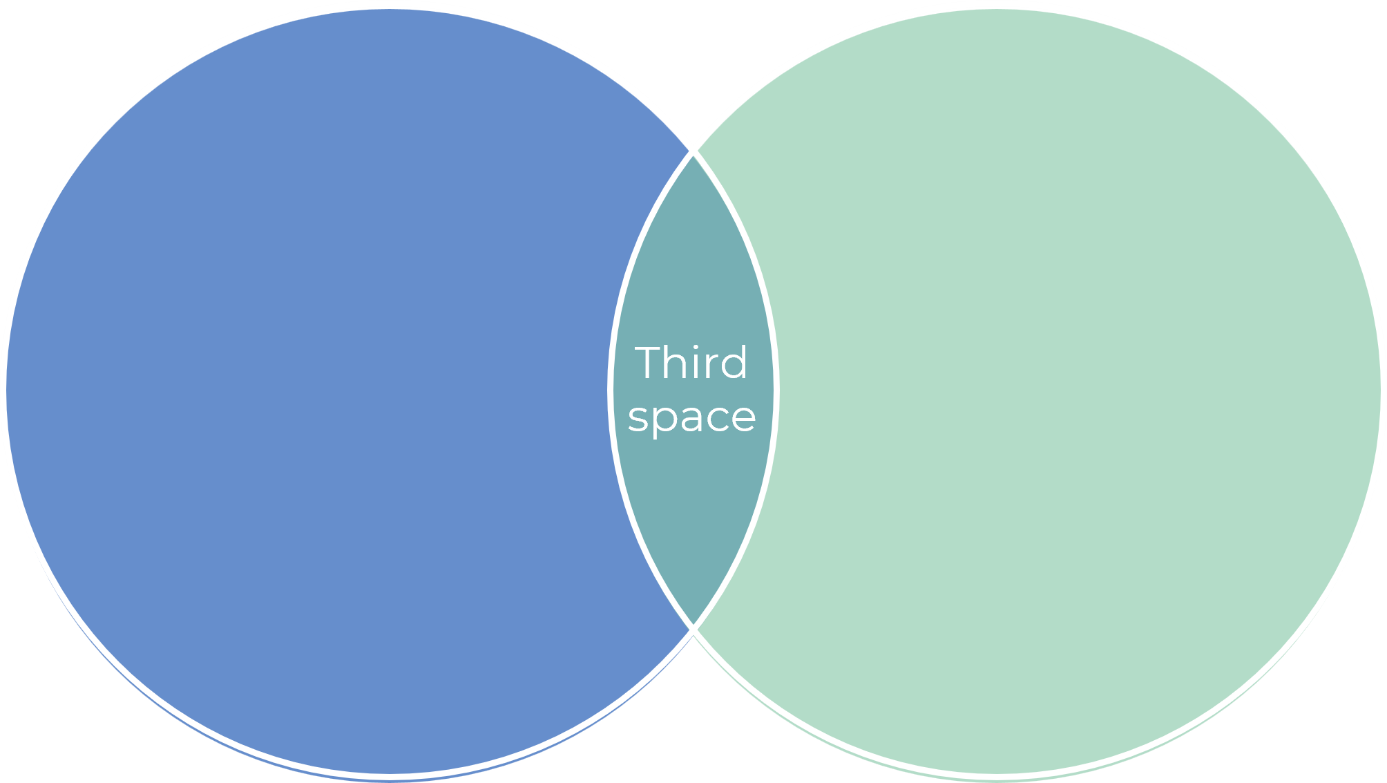 Two circles overlapping, with the overlapping section labelled "third space"