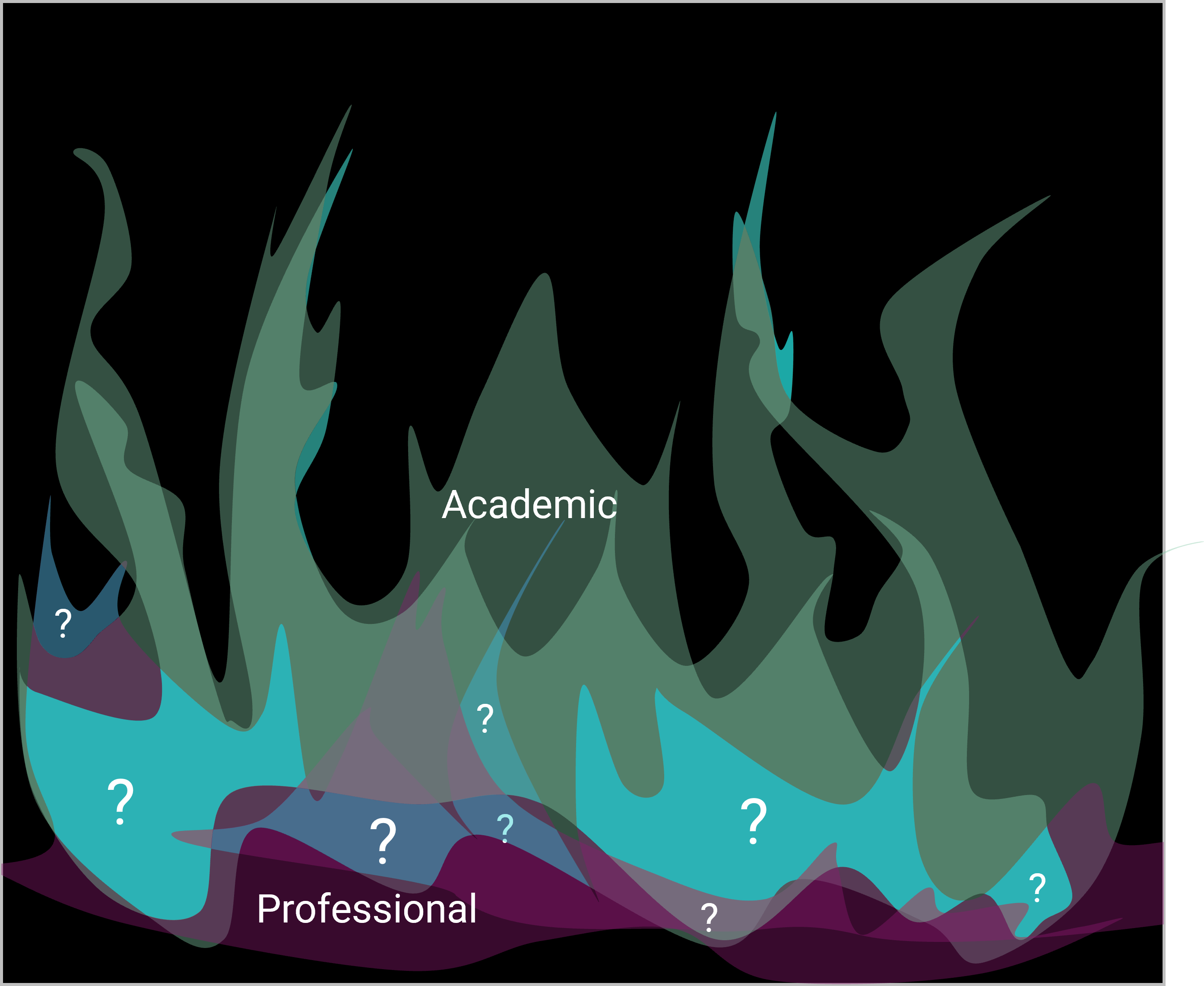 An illustrated fire with flames labelled academic and flames labelled professional. Where they overlap, there are question marks.