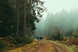 Where to from here: Foster educational relationships