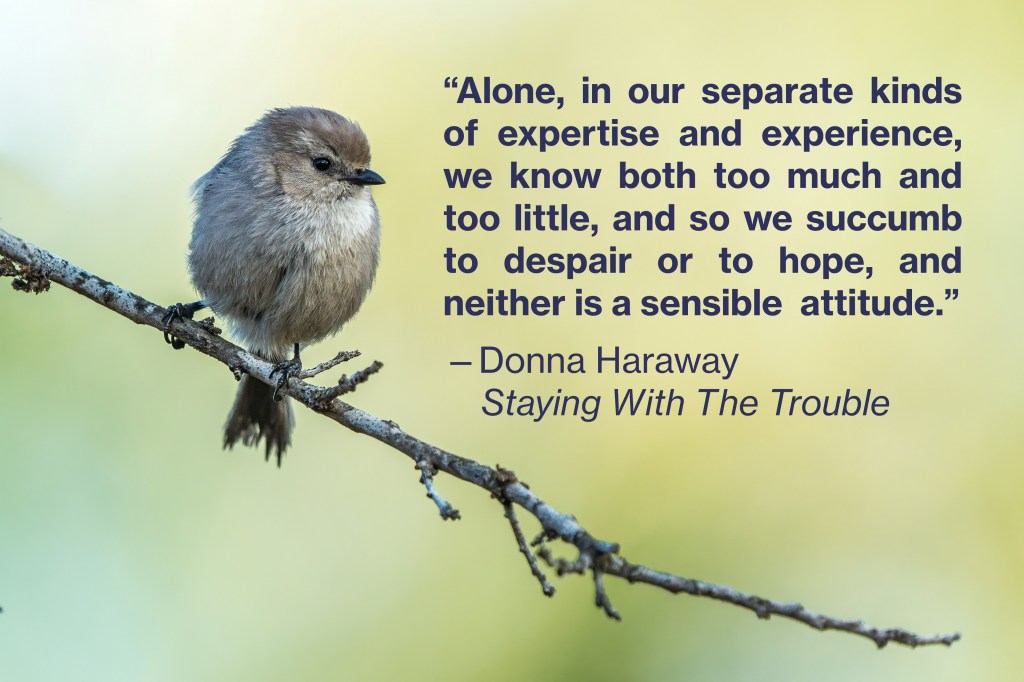 You belong to a community of&nbsp;resistance